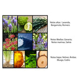 Al Haramain Amber Oud Carbon Edition EDP 60 ml