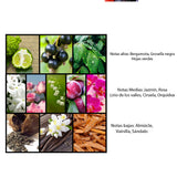 Al Haramain l´Aventure Gold EDP 100 ml