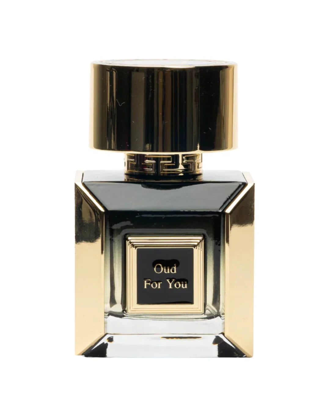 OUD FOR YOU EDP 100ML