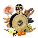 BLACK OUD EXT 100ml